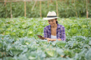 Valoración de fincas, terrenos agrícolas y predios productivos en Colombia.